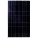 Solar pollycristalline module 245W (Renesola)